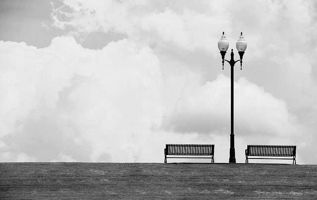 Tag of Reputation e Smartly-known person: diffidenza e solitudin