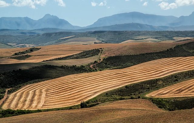 3 sedi di produzione di film versatili