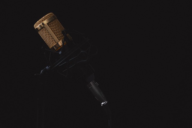 8 puntatori sul sistema appropriato per contrassegnare i vocalori nelle registrazioni audio dei brani professionali