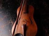Archi Viola, Violoncello e Violino – Arco Bug e Giorni di capelli errati