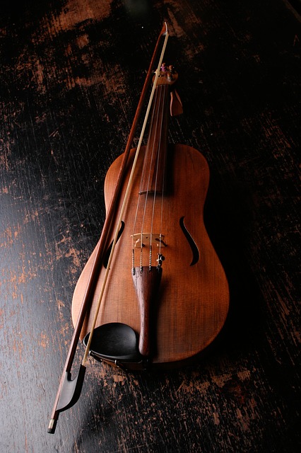 Archi Viola, Violoncello e Violino – Arco Bug e Giorni di capelli errati