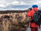 Come hai bisogno di ben bene Scatta foto di natura e fauna selvatica