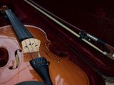 Cosa sapere sui casi di violino: una panoramica