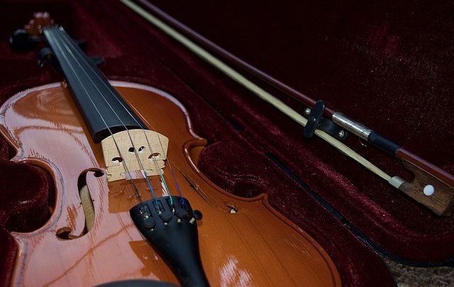 Cosa sapere sui casi di violino: una panoramica