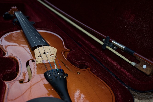 Cosa sapere sui casi di violino: una panoramica