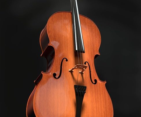 Forme di corde per violoncello: una panoramica