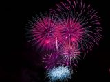 Cosa cercare in un fuoco artificiale istruito Dimostrare la compagnia