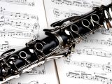 Da dove vengono eseguiti i Clarinetti Perform?