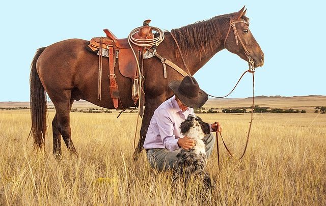 5 fatti freddi su Horsemanship che senza dubbio ora non sapevo