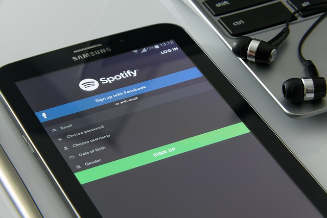 Semplici e facili soluzioni per recuperare la tua musica su Spotify