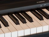 Fatti e parti della tastiera Yamaha YPT230 molto versatil