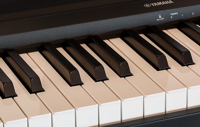 Fatti e parti della tastiera Yamaha YPT230 molto versatil