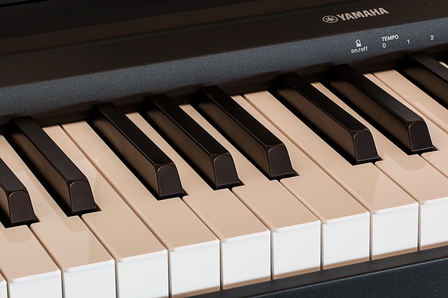 Fatti e parti della tastiera Yamaha YPT230 molto versatil