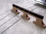 Un debuttante esperto può accordare un mandolino senza praticare l'orecchio o regolare i dettagli?