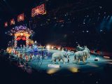 7 Cirque Du Soleil extra speciale rivela a Las Vegas