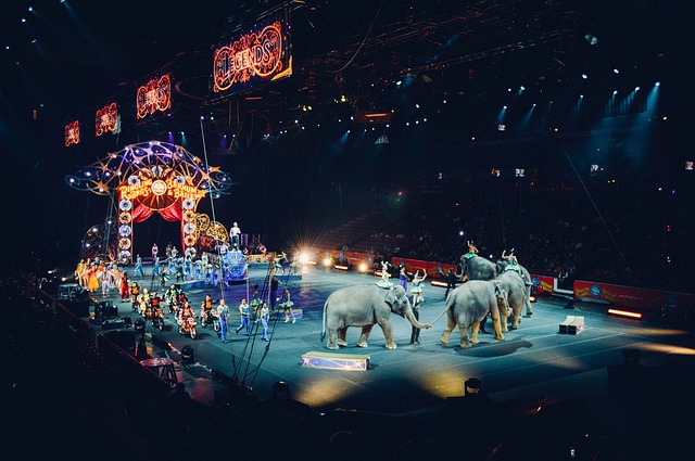 7 Cirque Du Soleil extra speciale rivela a Las Vegas