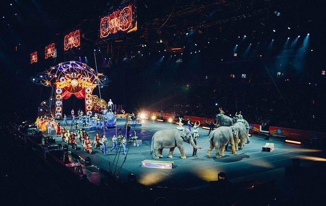 Festival Mondial Du Cirque De Demain – Storia