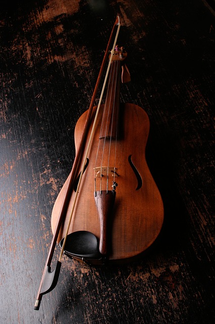 Il violino: alcune domande poste sicuramente sull'apprendimento del violino Il violino: alcune domande poste sicuramente sull'apprendimento del violino