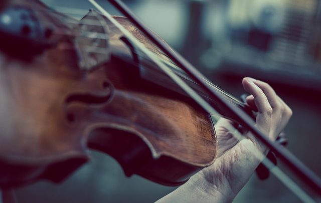 Programmi facili per suonare il violino per persone inesperte: tattiche di inchino e diteggiatura