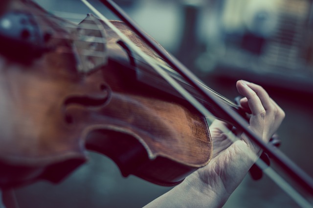 Programmi facili per suonare il violino per persone inesperte: tattiche di inchino e diteggiatura