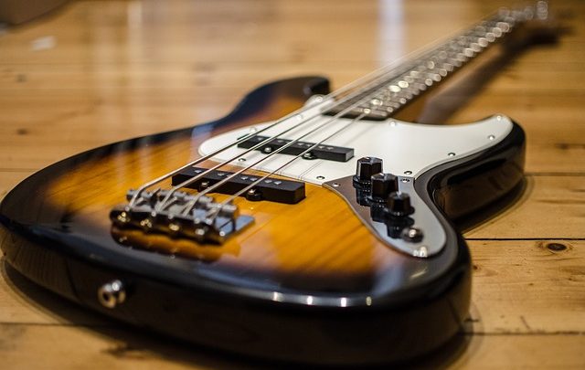 Informazioni su The Fender Stratocaster Guitar