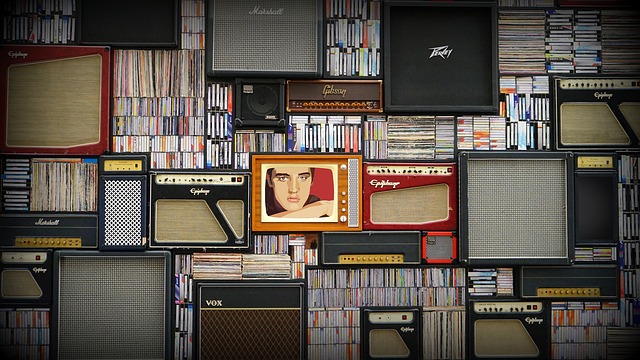 Elvis Presley e la musica che ha contribuito a diffondere Elvis Presley e la musica che ha contribuito a diffondere