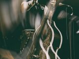 Il “Mistero messo collettivamente” di Rockabilly ha aiutato ad attaccare Elvis sul sorteggio, ma Junior Parker l'ha registrato per primo