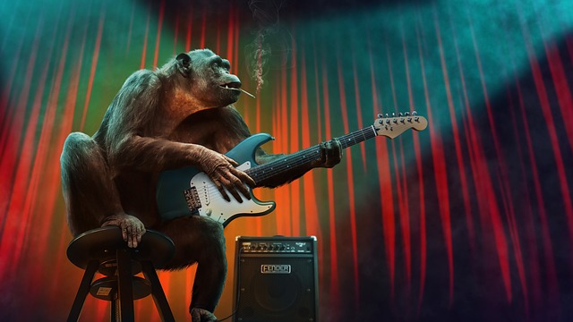 Cosa stregare nella storia quando si acquista un amplificatore per chitarra?