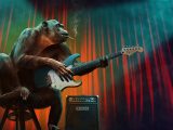 Blues Guitar Tabs: Esibizioni acustiche da insegnare
