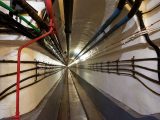 Il sorteggio appropriato per Do the Electrical Dawdle