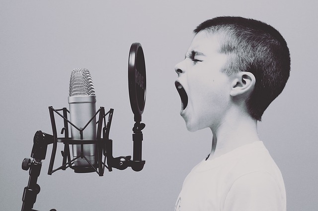 I pionieri del Rockabilly presero forme musicali familiari e svilupparono un genere tutto loro derivato I pionieri del Rockabilly presero forme musicali familiari e svilupparono un genere tutto loro derivato