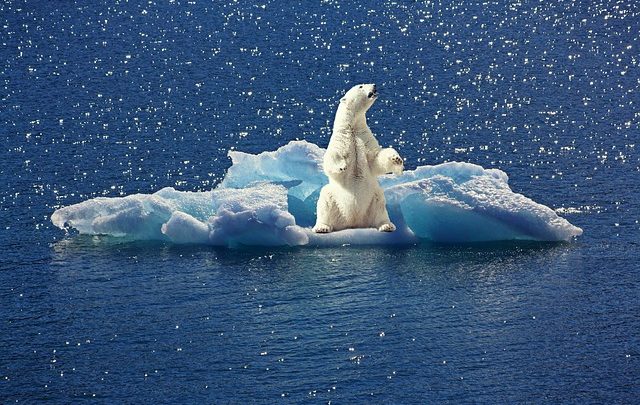 Come guadagnare soldi su Opera – Linee guida per i principianti – Libretto