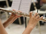 Programmi per risolvere la cura del tuo flauto
