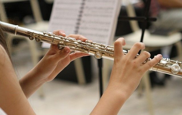 Cerca la canzone con The Native American Vogue Flute