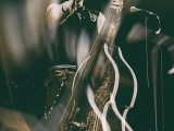 Con Rockabilly, il minimalismo rende extra