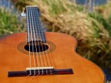 Epiphone EJ200CE Informazioni sull'acquirente: consuma una chitarra Epiphone EJ200ce
